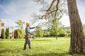 Best Soil Testing and Treatment  in San Juan Pistrano, CA